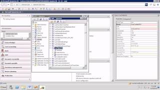 AX2009 SSRS 2 The Case of the Mysterious Parameter