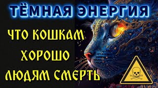 Тёмная Энергия 💥 Или Что Кошкам Хорошо Людям Смерть 💥