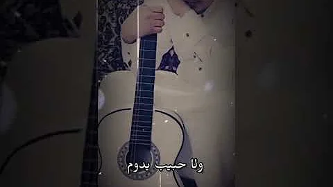 المصيبه ماكو طيبه