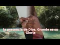 Salmo 21 Oración de Gratitud y Victoria con Dios