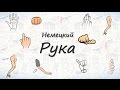 Рука (тело человека). Слова на немецком