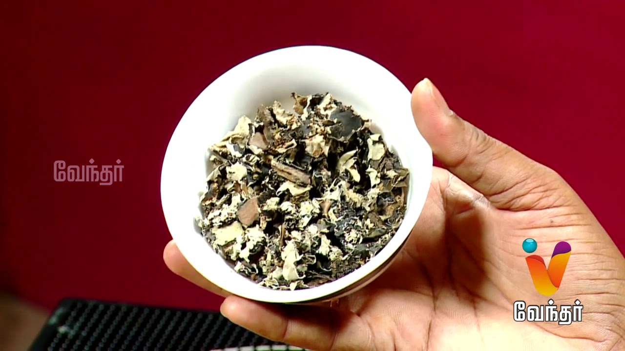 தீராத சொறி சிரங்கு போக்கும் மருத்துவம் ..! Mooligai Maruthuvam [Epi 109 - Part 1]