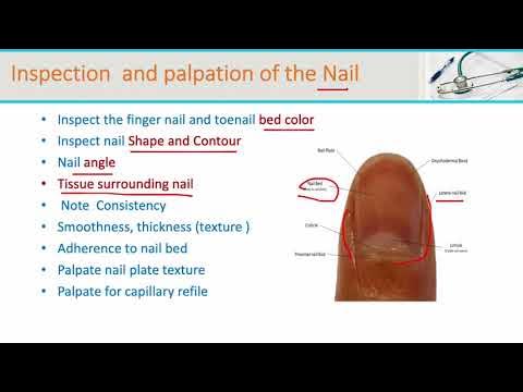 Nail and Hair Assessment ( nursing) 
