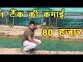 1 टैंक की कमाई 80 हजार, Biofloc Fish Farming | Profitable Business |