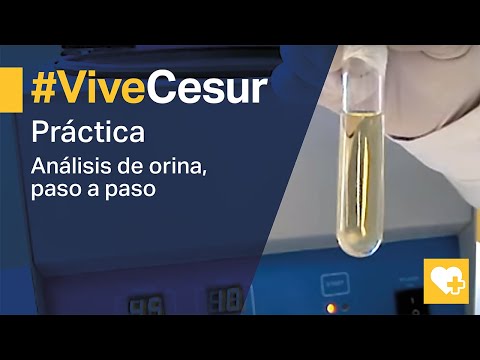 Video: 3 formas de fumar en interiores en secreto