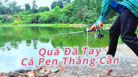 Những Pha Pen Cần Đầy Cảm Giác / Cận Cảnh Cá Tra Ăn Mồi || @AXinTV