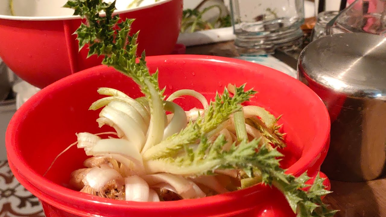 Otların en lezzetlisi Şevketi Bostan Temizlemenin Püf Noktaları! Zahmetsiz ve Hızlı Yöntemler!