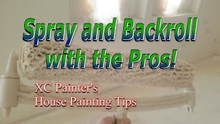 Celebrity Spray and Backroll with the Pros - Interior Painting Profile