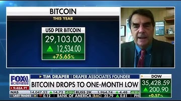 "Bitcoin Will Rise Above Fiat"  -  Billionaire Tim Draper