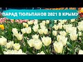 Красота, аж глаза режет! ПАРАД ТЮЛЬПАНОВ 2021 в Никитском ботаническом саду. Крым.