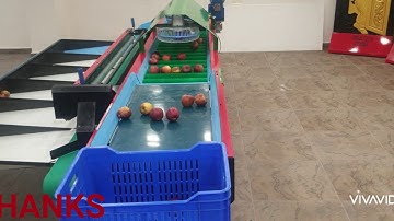 SINGLE LINE APPLE  GRADING MACHINE | VISHVKARMA MACHINE TOOLS |  AUTOMATIC GRADING | 9896091276 |