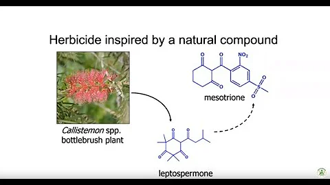 New Herbicide Modes of Action for New Commercial Herbicides – Searching for the Holy Grail