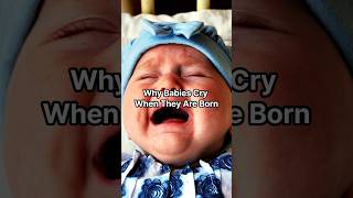 Why Babies Cry When They Are Born #babies Why Babies Cry When They Are Born #babies
