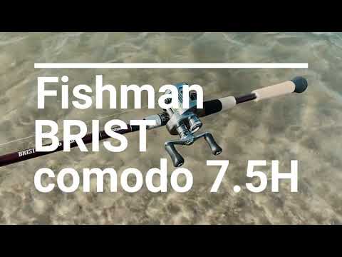 Fishman / BRIST comodo 7.5h