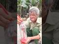 Description of "Chú dê đáng thương và ông nội tội nghiệp😥🐐 #shorts"