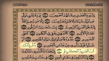القارئ سعد التوم يختم سورة الدخان بتلاوة رائعة