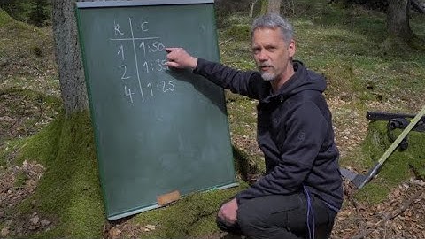 IN or OUT? Border trees in Bitterlich plots