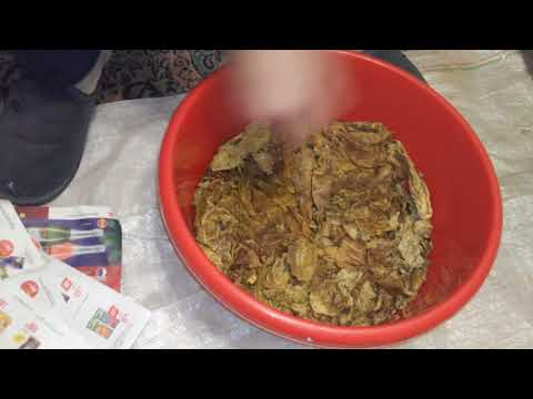 Плюсы и минусы ферментации табака дома в батарее.