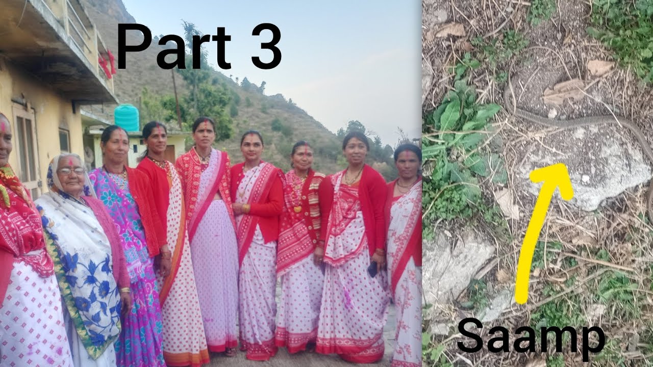 Holi mein gai thi saamp mara Mila🐍🐍🐍