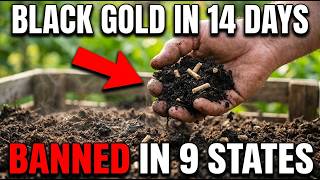 $1 Amish Compost Method Makes BLACK GOLD in 14 Days. BANNED 9 States