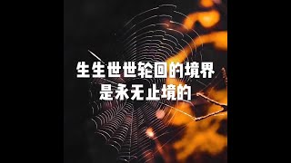 201908 生生世世轮回的境界是永无止境的51340