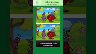 Iki Resim Arasında Ki Farkı Bulunuz. I Şacakbudeniz Şrefrüya