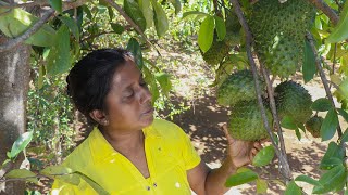 Did you know that you can make amazing dishes like this from soursop?     village kitchen recipe