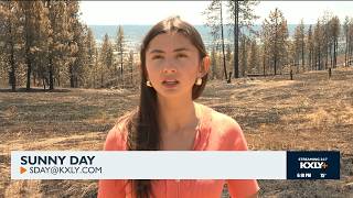 Upriver fire recovery update