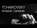 P. Tchaikovsky - String Quartet No. 1, Op. 11: II. Andante Cantabile in B-Flat Major