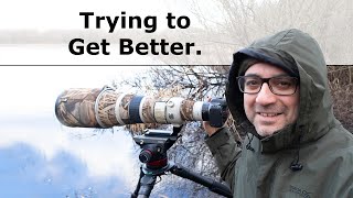 Wildlife Photography Tips - This is What I'm Doing to Improve by Paul Miguel Photography 6,897 views 3 months ago 8 minutes, 37 seconds