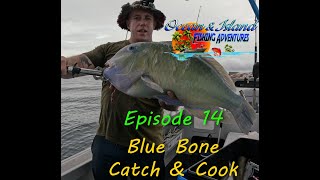 Blue Bone Catch and cook Great Barrier Reef (episode 14) Ocean & Island Fishing Adventures