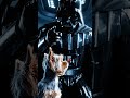 Super Yorkie, Star Wars, I am your Father#starwars