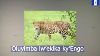 Oluyimba lw'Ekika ky'Engo  Ngo Clan Anthem Version 2