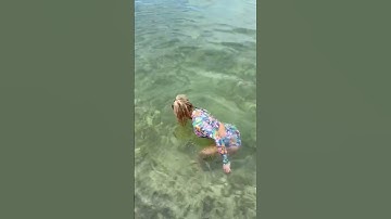 #shorts op zoek naar de mooiste schelp op de Bahama