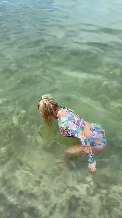 #shorts finding the most beautiful seashell in the Bahamas