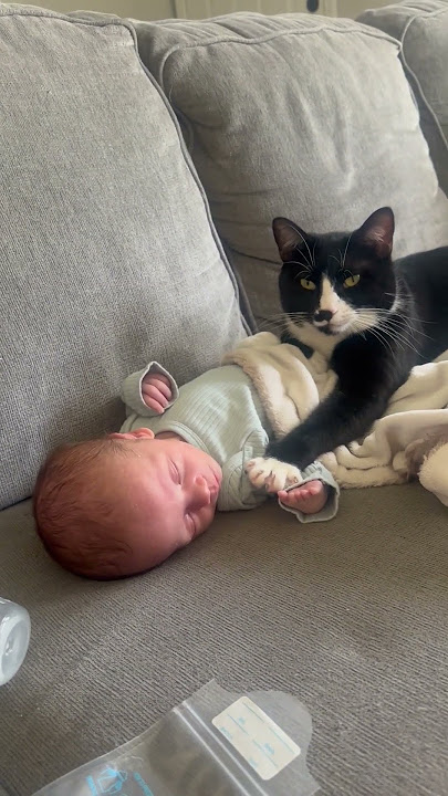 Cat Rests Open Paws on Sleeping Baby