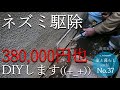 No.37【義理実家】ネズミが出ました!!!業者見積額が380000円でした( ﾟДﾟ)//前編