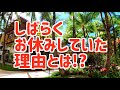 【謝罪と感謝 / 4K】今後のユニバークTVは気まぐれハワイ!? 2ヶ月ぶりにハワイ映像編集したけどハワイの景色はどこでも画になるね〜。