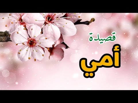 شعر عيد الام أهنيكي يا أمي في يوم عيدك قصيدة أمي مصطفى عبده