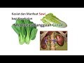 Mengurangi Gangguan Ginjal Mengurangi Gangguan Ginjal