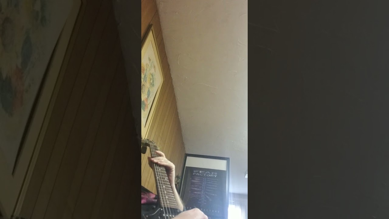 Ozzy Osbourne - Sweet Leaf & War Pigs (Guitar Tribute) Just Say Ozzy Versions