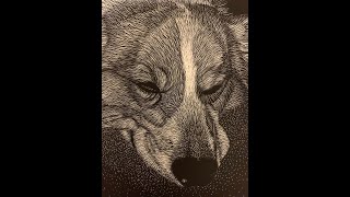 Introduction to Scratchboard