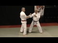 Float the opponent like a butterfly a lexicon of advanced budo f g