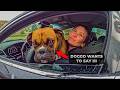 A Simple Expired Tag Stop Ended With a Taser and a Felony | legal analysis on bodycam