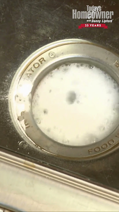 EASY Way to Clean Garbage Disposal! 🧽😊
