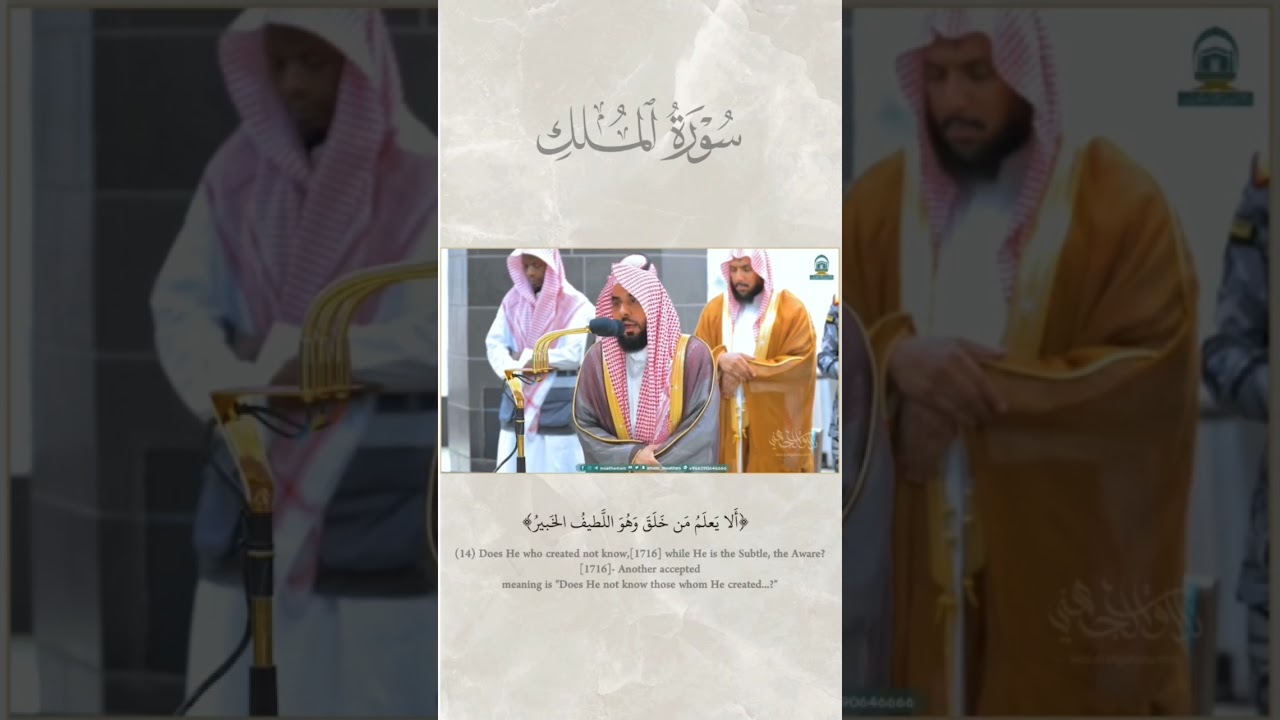 قطف من فجر ١٠-٣-١٤٤٥ | فضيلة الشيخ أ.د. #عبدالله_الجهني 🤍. #بلبل_الحرم #shorts #tilawat #Quraan
