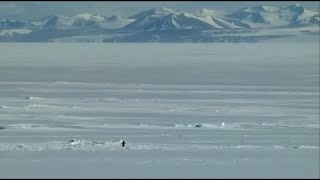 Existential Crisis of A Penguin - Call of the Mountain - 1 Hour