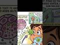 Why Do Onions Make You Cry? 🧅 | Science Behind Tears | Factkore
