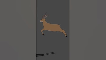 Deer Jumping #blenderanimation #animationtest #toons