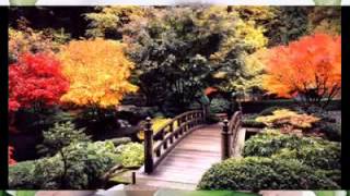 ALI ÇINAR-beni yakti gözlerin.sariye köse vidolari